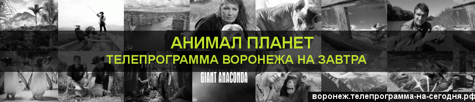 Телепрограмма на завтра канала Анимал Планет, Воронеж