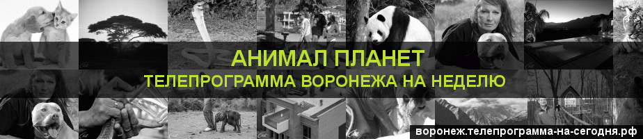 Телепрограмма на неделю канала Анимал Планет, Воронеж